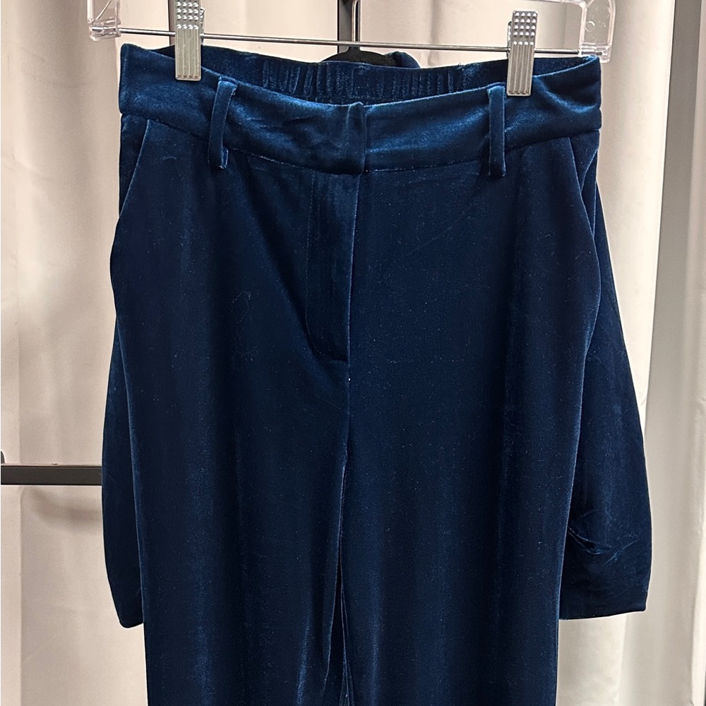 Brand new with tags blue velvet pants
